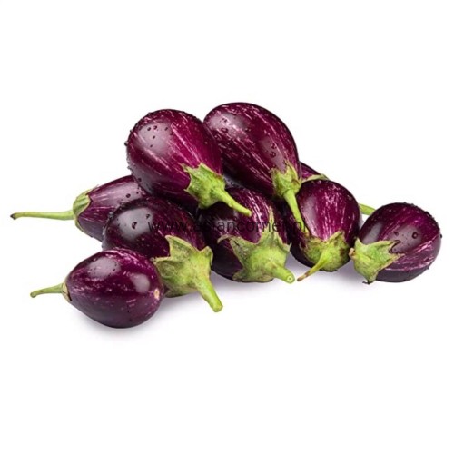 Brinjal-e1593753418996.jpg