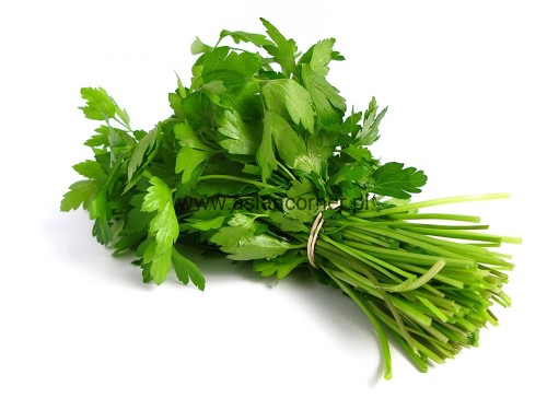 Fresh-Coriander-Leave-Bunch-Cilantro