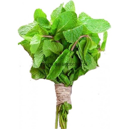 fresh-mint-leaves-1-bunch.jpg