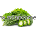 kerela.png