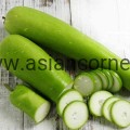 Kalinga-Fresh-bottle-gourd-5bc9a7c2588bd.jpg