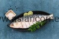 hilsa-round0cut_2.jpg